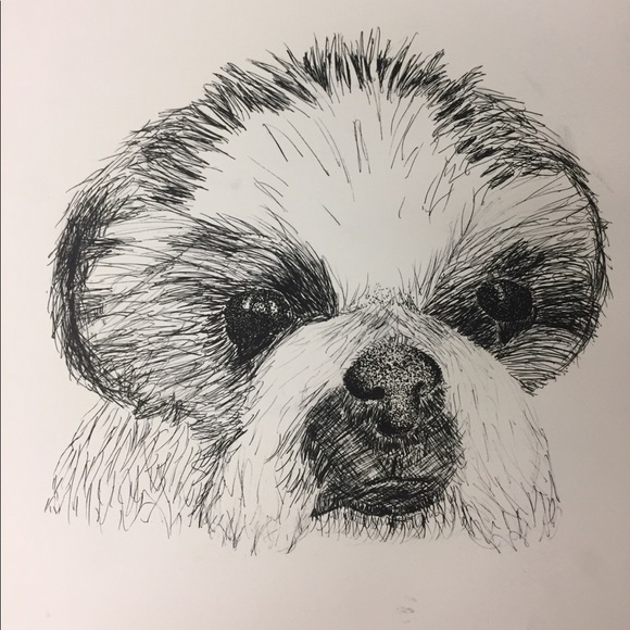 Meet your Posher, Theresa - Picture 1 of 1